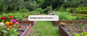 Designing-for-Growth-featured-image